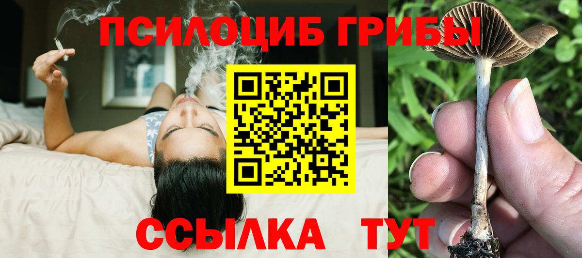 Псилоцибиновые грибы ЛСД  Вход с VPN  Бузулук 
