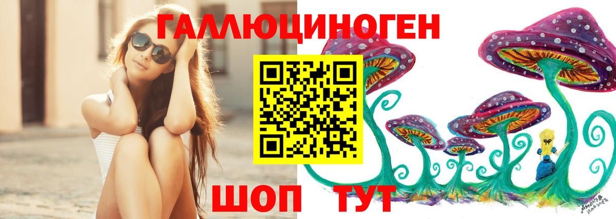 Галлюциногенные грибы Psilocybine cubensis Бузулук